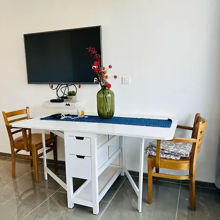 Apartment 308 Elegant Vrnjacka Banja