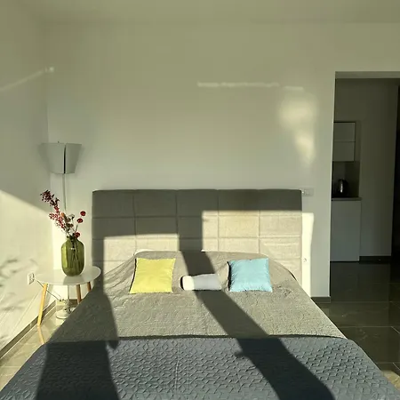 Apartment 308 Elegant